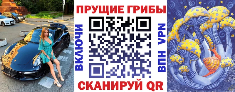 где продают наркотики  маркетплейс официальный сайт  Галлюциногенные грибы GOLDEN TEACHER  Торжок 