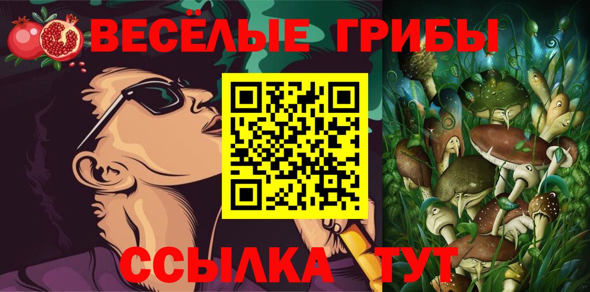 Торжок  Галлюциногенные грибы прущие грибы  Вход с VPN 