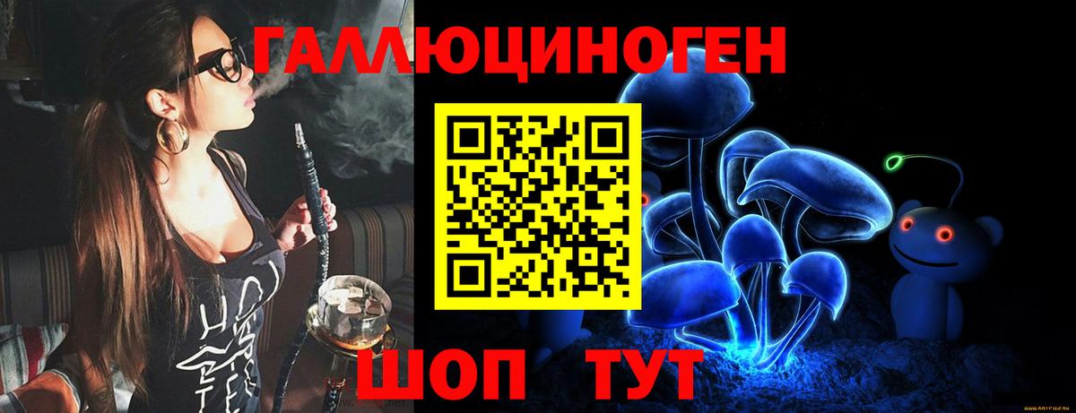 Галлюциногенные грибы Psilocybe Торжок